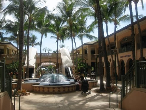 Maui Black earl Gallery